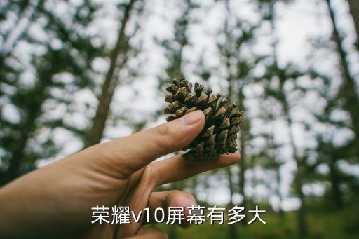 榮耀v10參數(shù)，榮耀v10屏幕有多大