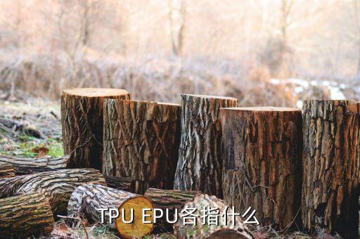 TPU EPU各指什么