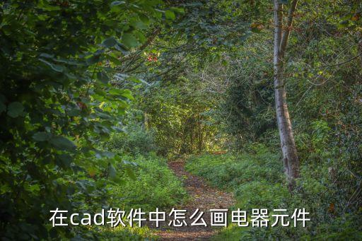 電氣CAD，誰知道 電器CAD怎么弄