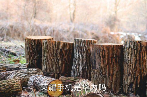 榮耀手機(jī)是華為嗎