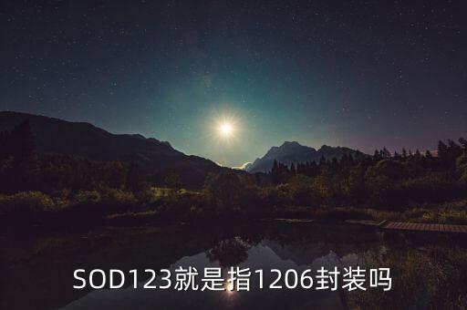 SOD123就是指1206封裝嗎