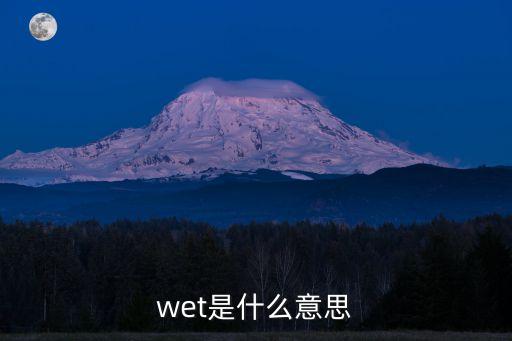 wet，wet是什么意思