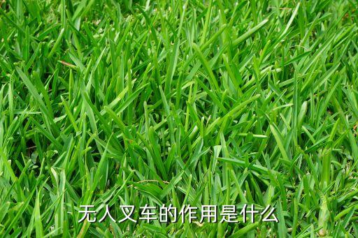 無人叉車的作用是什么