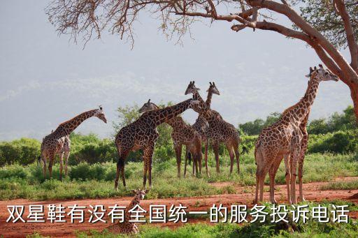 中國(guó)雙星，雙星鞋有沒有全國(guó)統(tǒng)一的服務(wù)投訴電話