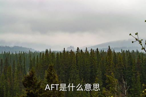 AFT是什么意思