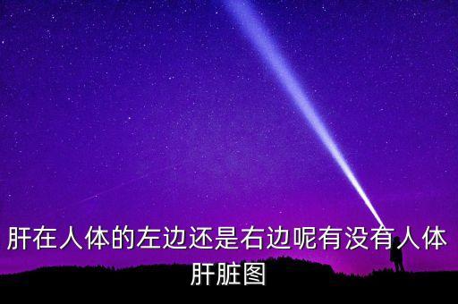 肝在人體的左邊還是右邊呢有沒有人體肝臟圖
