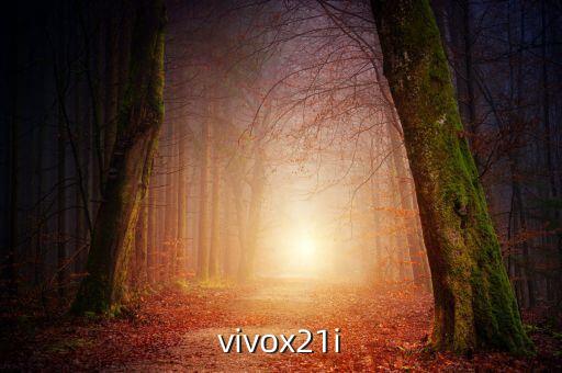 vivox21i，vivox21i