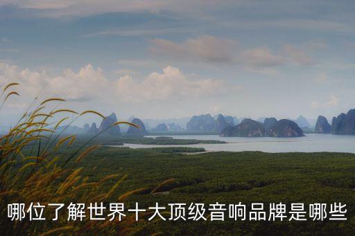哪位了解世界十大頂級音響品牌是哪些