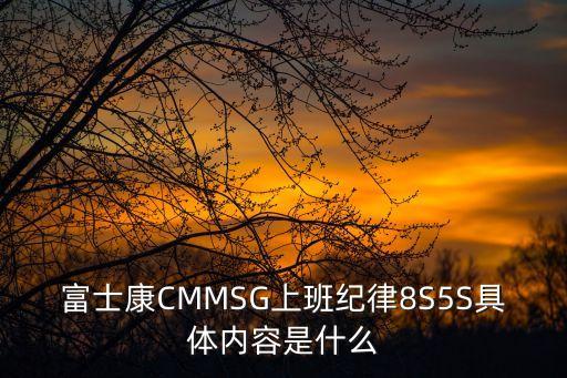 富士康CMMSG上班紀律8S5S具體內容是什么