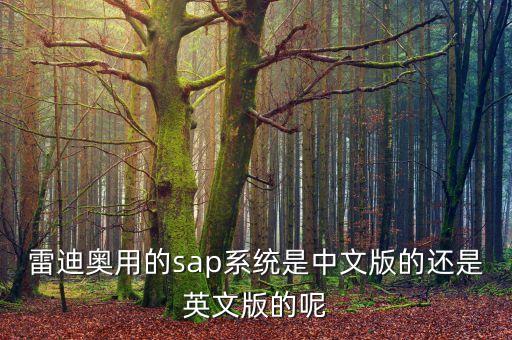 雷迪奧，深圳市雷迪奧光電技術(shù)有限公司有沒有山東代理商