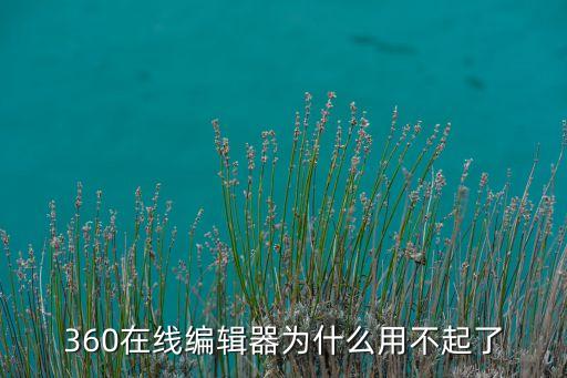 360在線編輯器為什么用不起了