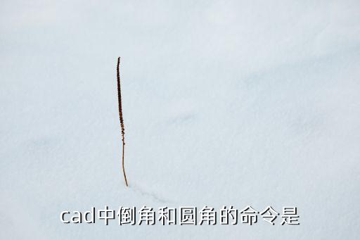 cad倒圓角命令，cad中倒角和圓角的命令是