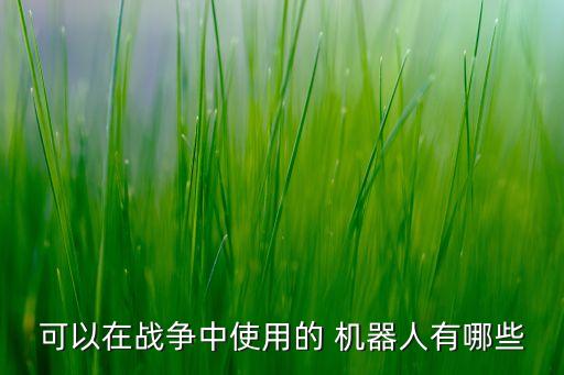 可以在戰(zhàn)爭中使用的 機器人有哪些