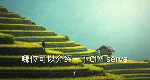 哪位可以介紹一下CIM server
