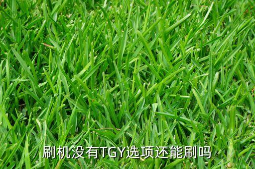 刷機沒有TGY選項還能刷嗎