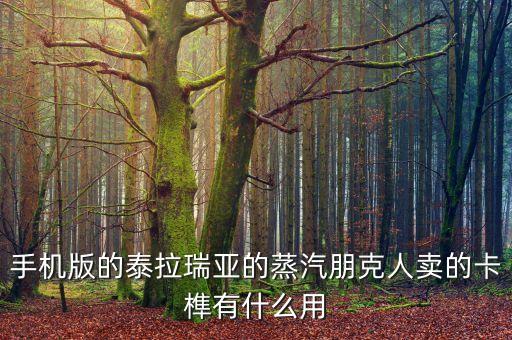 卡榫，泰拉瑞亞卡榫有什么用