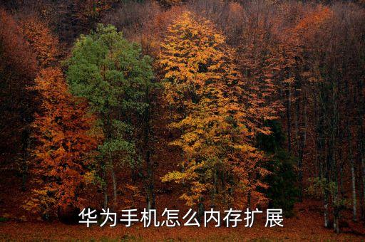 華為存儲，華為的手機存儲在哪