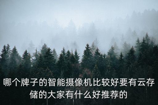 哪個牌子的智能攝像機比較好要有云存儲的大家有什么好推薦的