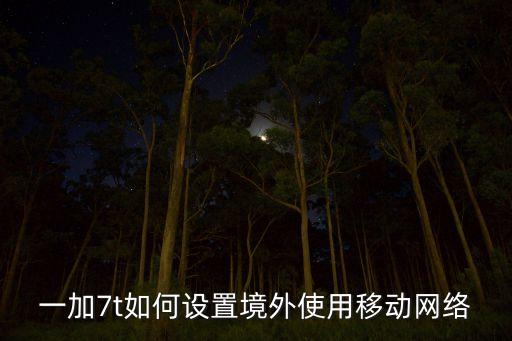 一加7t如何設(shè)置境外使用移動(dòng)網(wǎng)絡(luò)