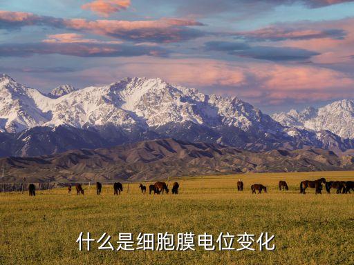 電位是什么，等電位知識(shí)什么時(shí)候有學(xué)