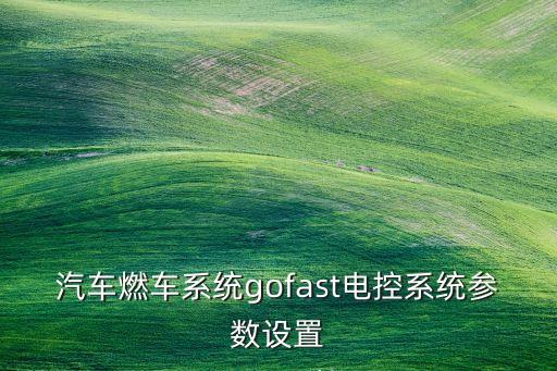 gofast，things that go fast是什么意思