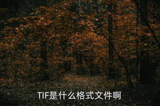 TIF是什么格式文件啊