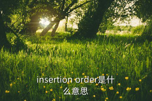insertion，readinsertion lirelanotice這是什么意思