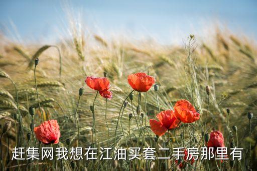 趕集網(wǎng)我想在江油買套二手房那里有