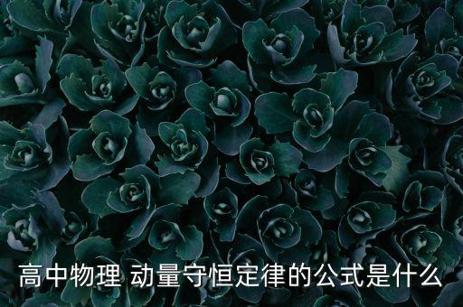 高中物理 動量守恒定律的公式是什么
