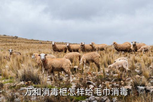 萬和消毒柜怎樣給毛巾消毒