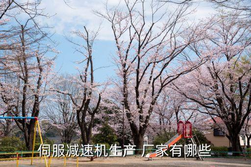 伺服減速機(jī)生產(chǎn) 廠家有哪些