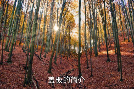 蓋板，蓋板種擋板有什么區(qū)別