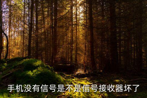 手機(jī)沒(méi)有信號(hào)是不是信號(hào)接收器壞了