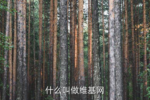 wiki網(wǎng)站，什么叫做維基網(wǎng)
