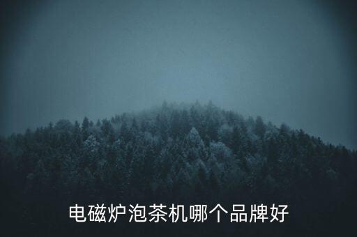 電磁爐泡茶機哪個品牌好