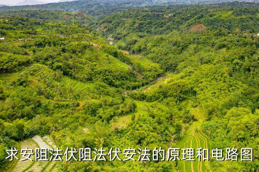 求安阻法伏阻法伏安法的原理和電路圖
