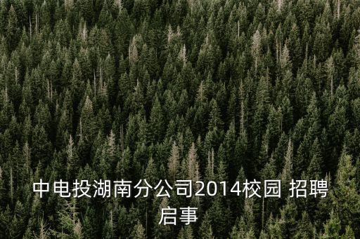 中電投湖南分公司2014校園 招聘啟事