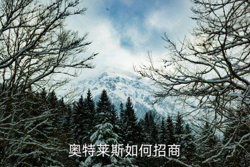 奧特萊斯如何招商