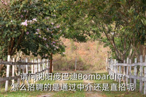 bombardier，請問沈陽龐巴迪Bombardier怎么招聘的是通過中介還是直招呢