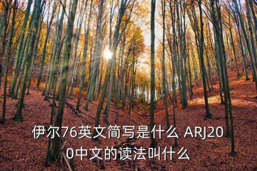 伊爾76，伊爾七六是怎么樣的一種運(yùn)輸機(jī)謝謝