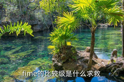 fime，fime密碼忘了怎么辦