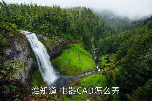 誰知道 電器CAD怎么弄