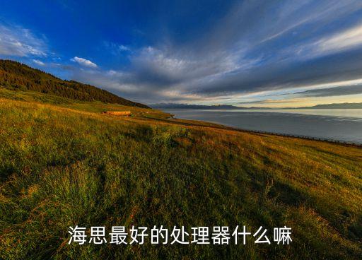 海思最好的處理器什么嘛