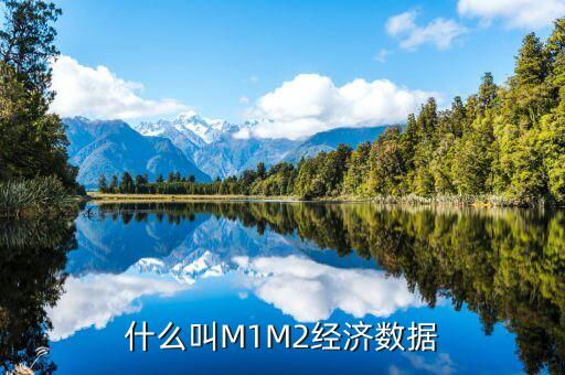 什么叫M1M2經(jīng)濟(jì)數(shù)據(jù)