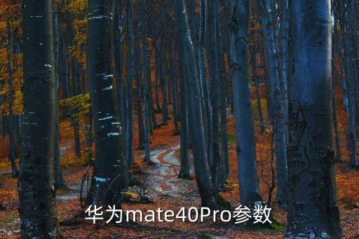 華為mate40Pro參數(shù)