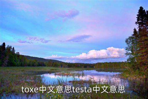 testa，testa是什么意思及反義詞
