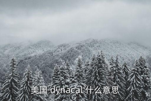 dyna，美國 dynacal 什么意思