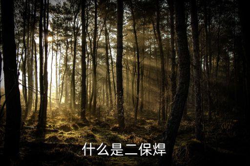什么是二保焊