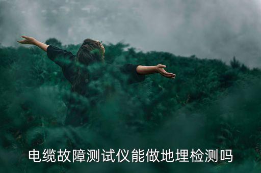 電纜故障測試儀能做地埋檢測嗎