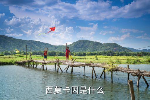 西莫卡因是什么